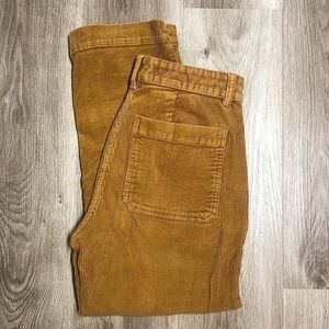Everlane corduroy pants